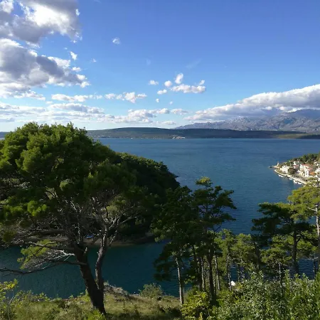 Apartment Ante Novigrad (Dalmatia)