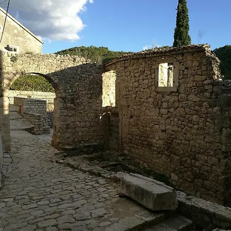 Apartment Ante Novigrad (Dalmatia)